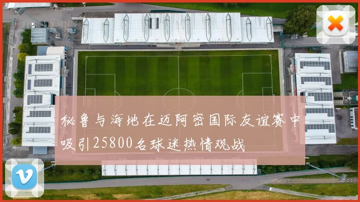 秘鲁与海地在迈阿密国际友谊赛中吸引25800名球迷热情观战