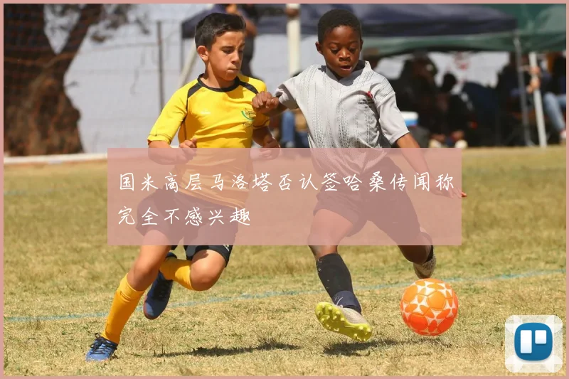国米高层马洛塔否认签哈桑传闻称完全不感兴趣